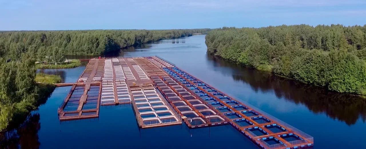 Aerial view of a fish farm with numerous floating cages on a river surrounded by dense forest.